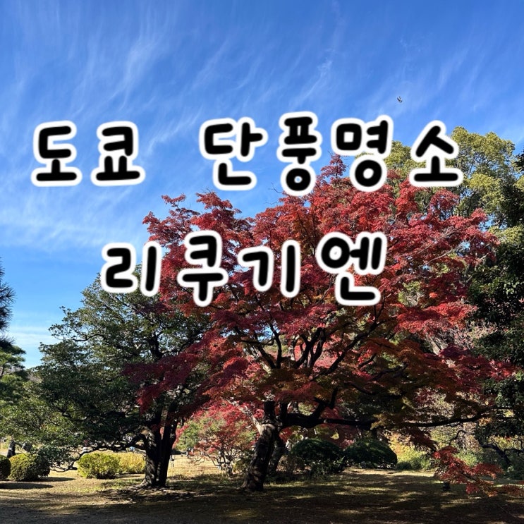 도쿄 단풍명소 1등 리쿠기엔 2025년 12월 현재