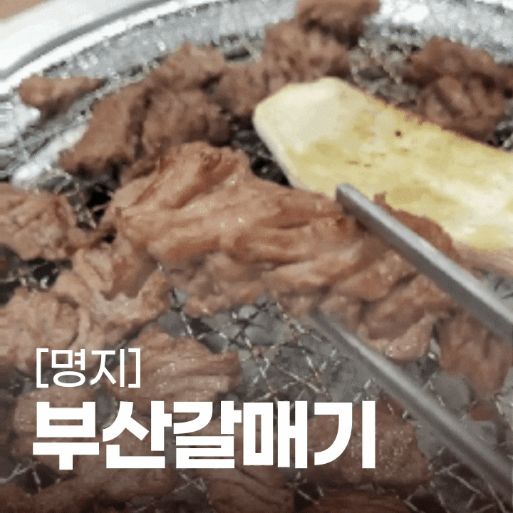 명지오션시티맛집 :: 부산 갈매기 :: 부산강서구고기데이트