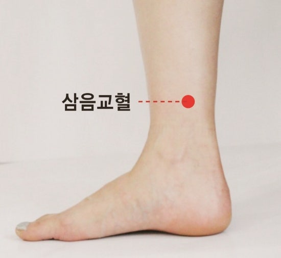 생리·순환·호르몬을 조절하는 단 하나의 혈, 삼음교_모닝달팽이숙제 : 네이버 블로그