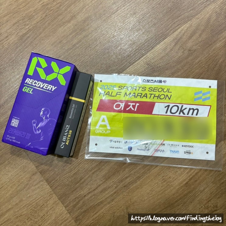 2025 스포츠서울 하프마라톤 10km 후기 (기념품, 주차꿀팁, 코스)