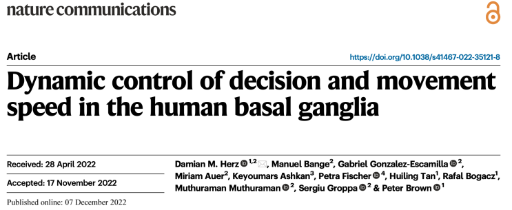 [논문 리뷰] 기저핵(Basal Ganglia)는 어떻게 결정과 움직임의 속도를 조절하는가? : 네이버 블로그