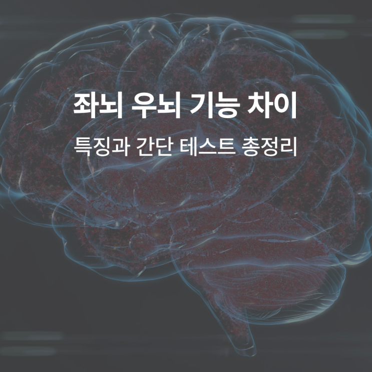 좌뇌 우뇌 기능 차이 궁금하다면 : 네이버 블로그