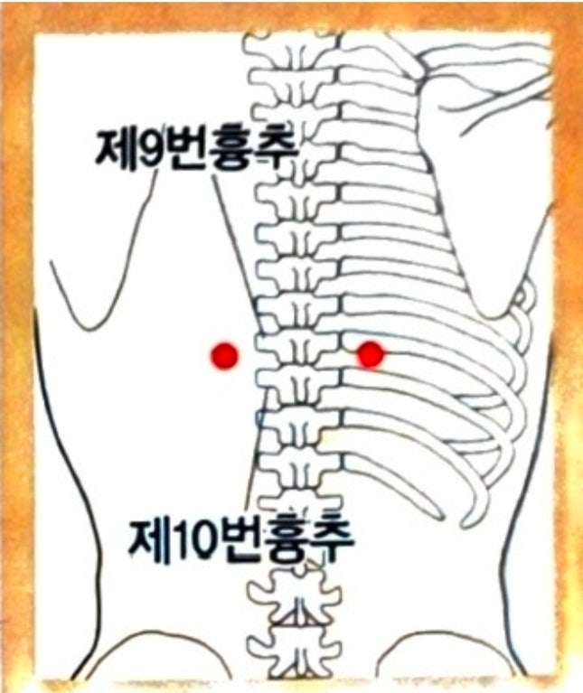 [부항사혈] 간 기능 회복의 특효 간수혈(肝腧穴) : 네이버 블로그