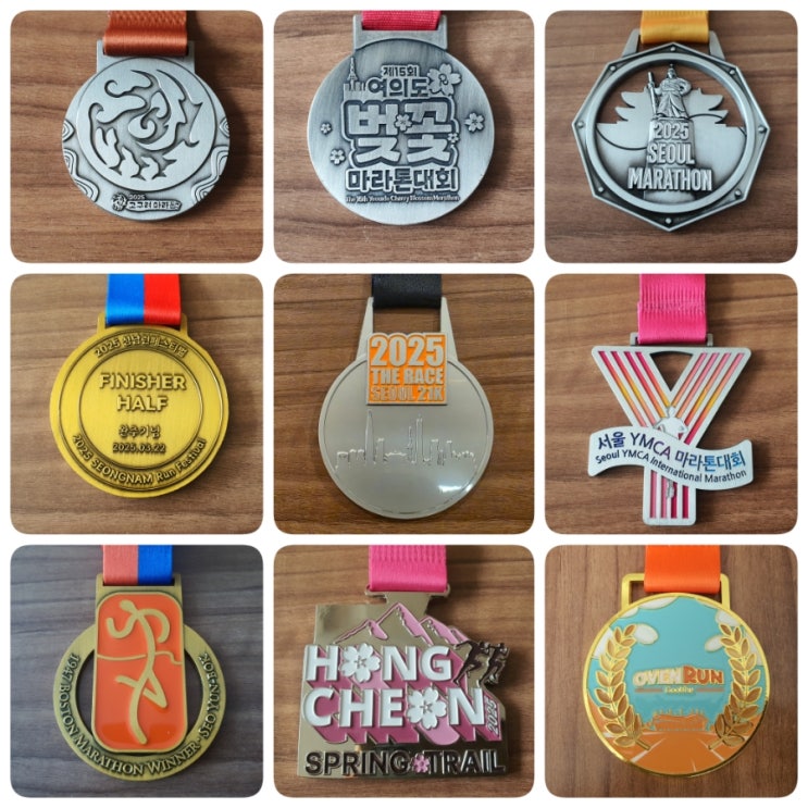 2025년도 참가 대회 총평