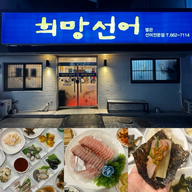 여수 선어회 현지인 단골 맛집! 1인 3만원 가성비 대박 희망선어 : 네이버 블로그