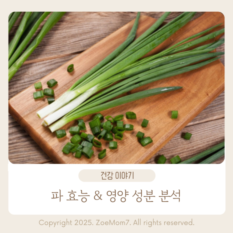 파 효능 & 영양 성분 분석｜부위별 특징·종류별 섭취법 한눈에 정리 : 네이버 블로그