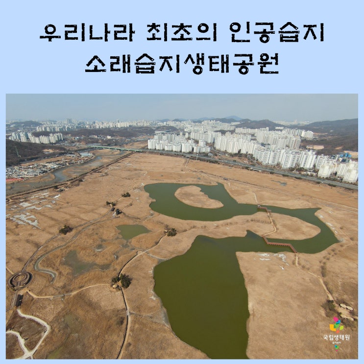 우리나라 최초의 인공습지, 소래습지생태공원