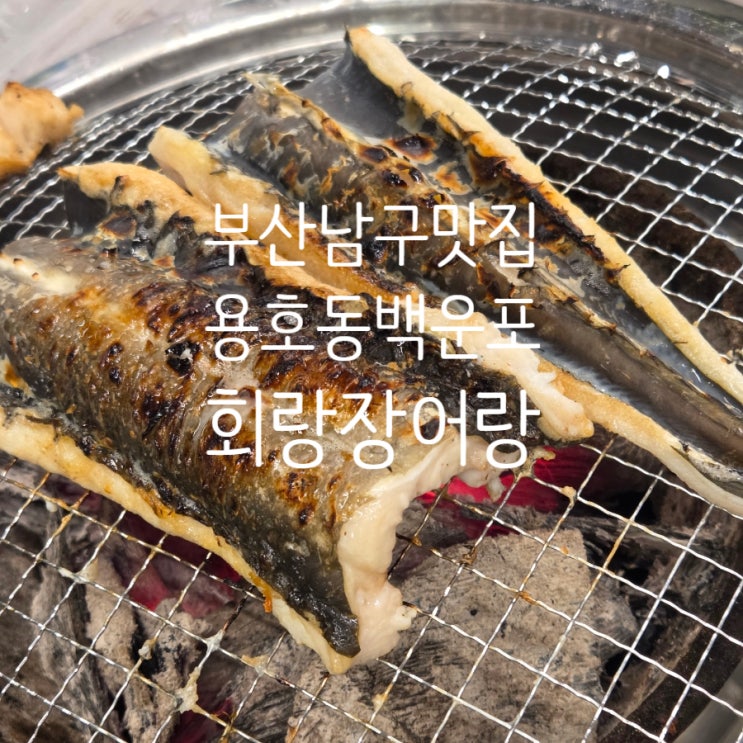 부산 설당일 영업하는 식당 남구 용호동 백운포 맛집 회랑 장어랑 내돈내산후기 주차 예약 가족식사 추천 : 네이버 블로그
