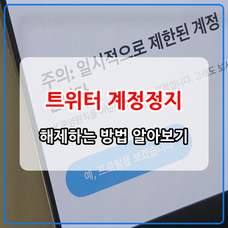 트위터 계정정지 해제절차 가이드