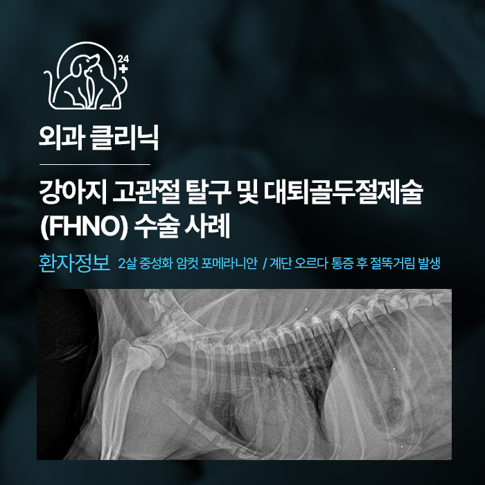 퇴계원동물병원 고관절 탈구와 FHNO 수술로 다시 일어선 강아지 사례 : 네이버 블로그