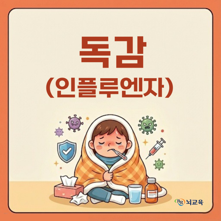 독감(인플루엔자) 바로 알기: 예방접종부터 항바이러스제까지 완벽 가이드! : 네이버 블로그