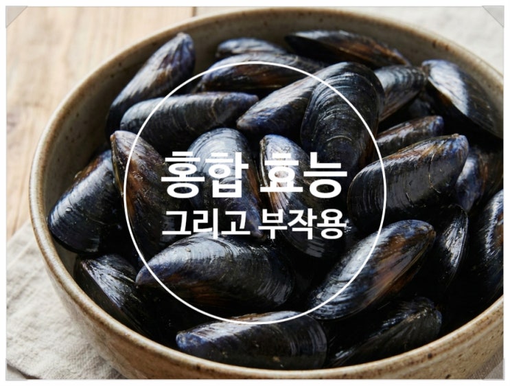 홍합 효능과 부작용, 자연산 섭 vs 담치 차이까지 총정리 : 네이버 블로그