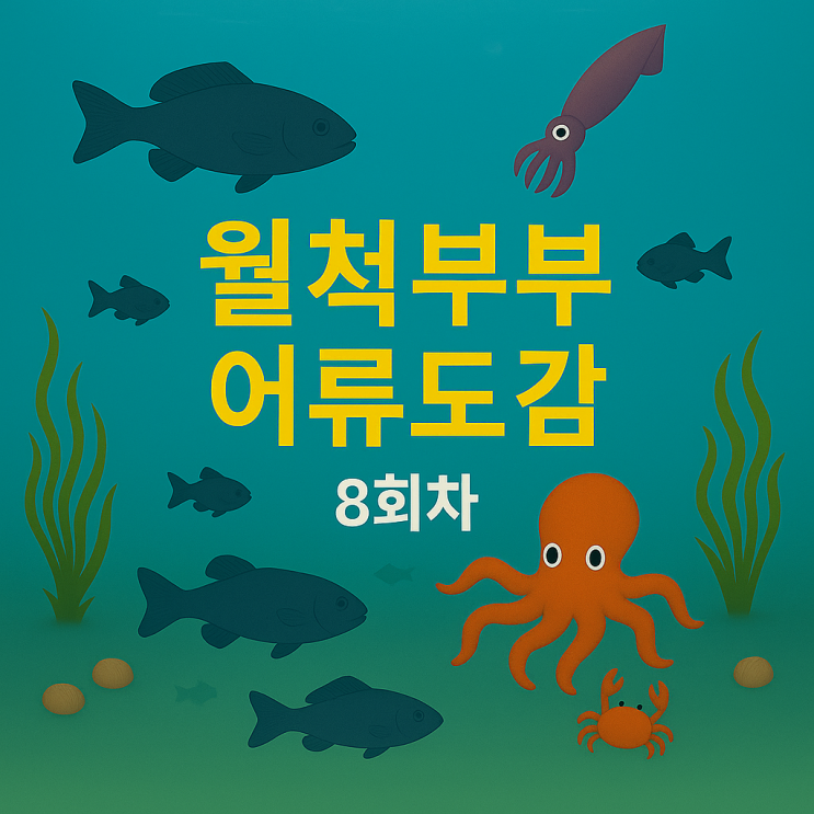 무늬오징어 살오징어 한치 호래기 구별법, 월척부부 어류도감 8회차 : 네이버 블로그