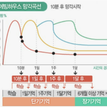 실패를 두려워하지 않는 힘: 비엠아이수학 '3단계 평가' 시스템의 비밀 RSS 대표 이미지
