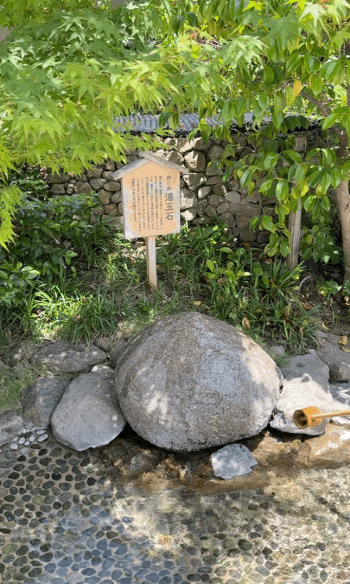마쓰야마 여행 도고온천 별관 아스카노유 가족탕 예약방법/ 가격/ ....