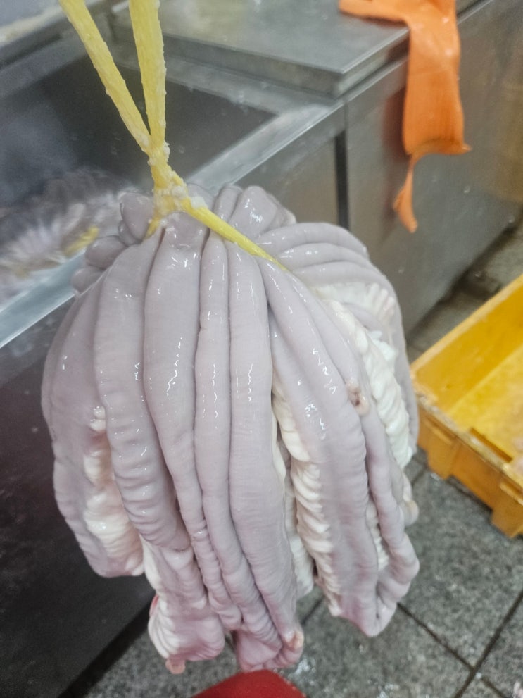 마장동 우 부산물 전문(한우 곱창, 대창 등 소 내장)-마장동 직거래 : 네이버 블로그