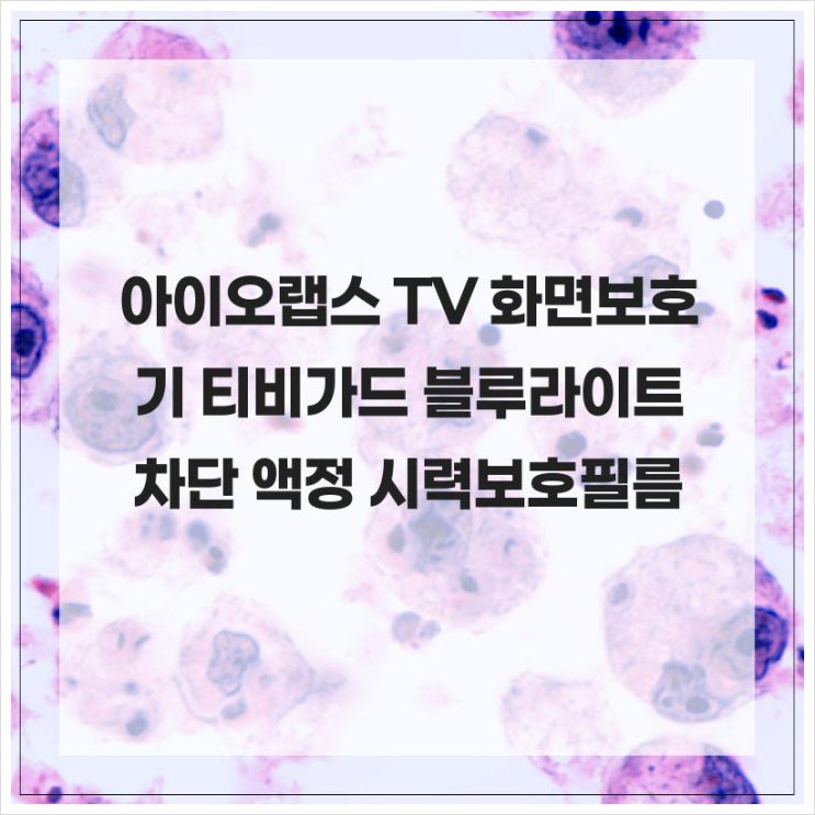 눈이편한 아이오랩스 TV 화면보호기 티비가드 블루라이트 차단 액정 시력보호필름 커버 GBLT 40 : 네이버 블로그