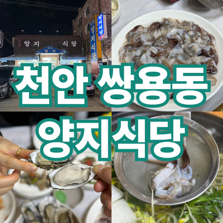 천안 새조개 맛집 원조 양지식당 제철 새조개 쌍용동 해물전문점 : 네이버 블로그
