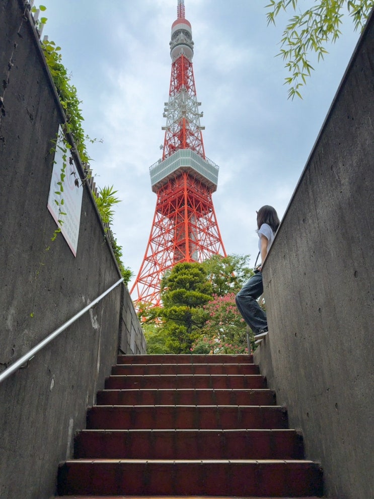 제주항공 인천 도쿄 나리타 7C 1101 항공권 | 공항 셔틀 ATM 스카이 라이너 후기 : 네이버 블로그