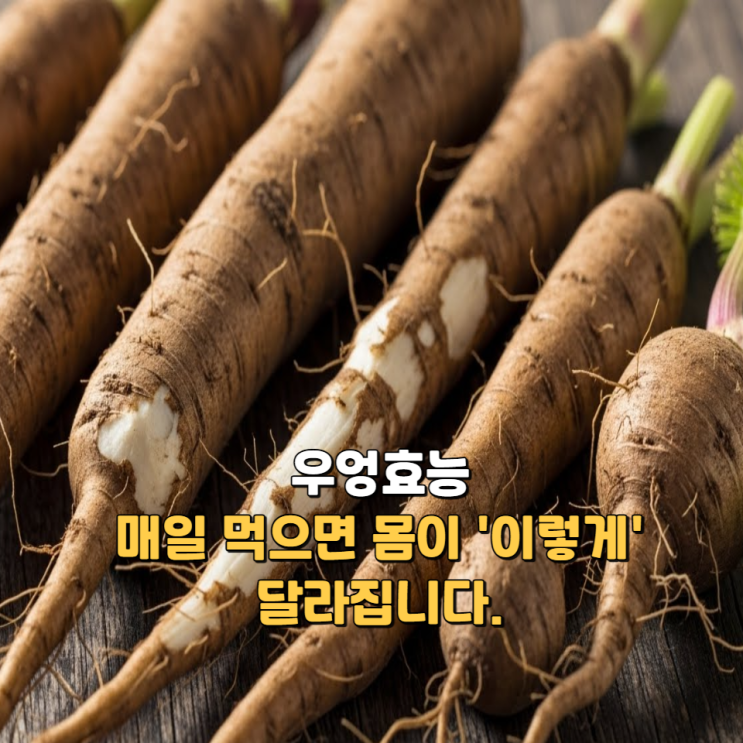 우엉효능, 매일 먹으면 몸이 '이렇게' 달라집니다. : 네이버 블로그