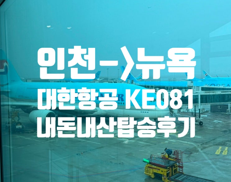 미국 뉴욕 | 대한항공 뉴욕행 비행기 KE081 내돈내산 탑승후기 : 네이버 블로그