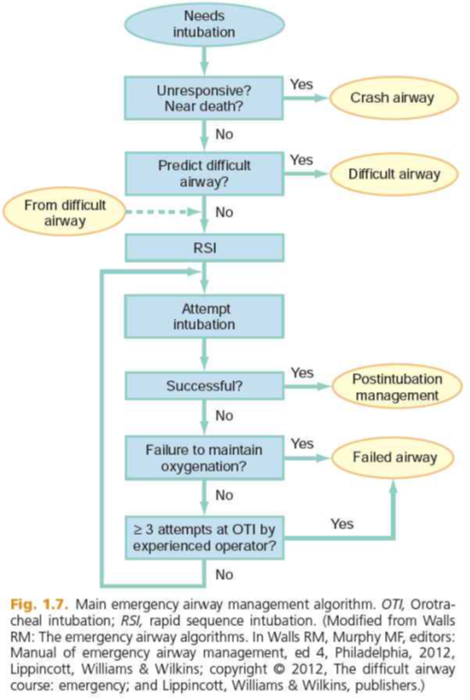 [응급의학과] 29-1. 기관 삽관 (Tracheal intubation) : 네이버 블로그