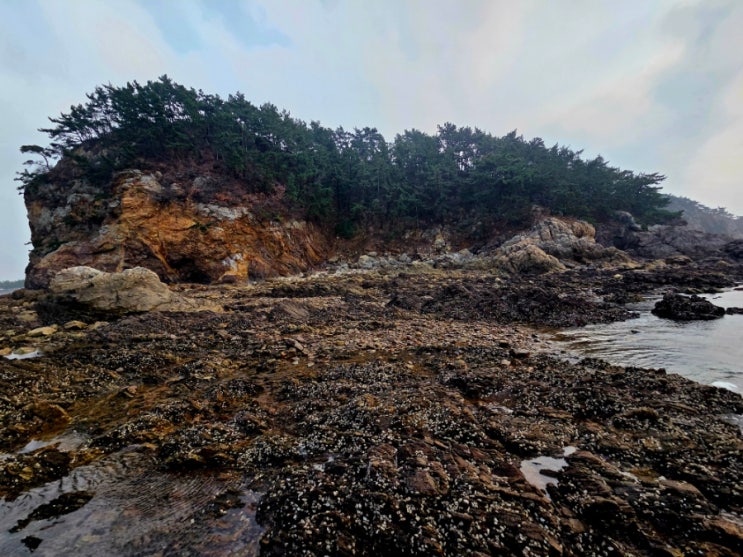 #충남태안군#어은돌 해변#어은돌해변~어은돌캠핑장#어은돌~파도리해식동굴중간해변#해변기암괴석지대#태안해변길트레킹 : 네이버 블로그