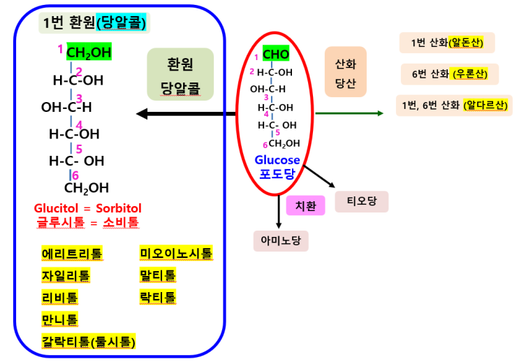 당류의 유도체 : 당알코올(sugar alcohol), 에리트리톨, 자일리톨, 리비톨, 소르비톨, 만니톨, 둘시톨, 말티톨 ...