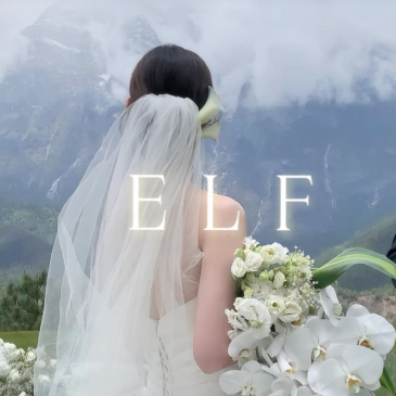 본식 스냅 + 아이폰 스냅 - 핑크뽀용 엘프스냅 계약 후기! (짝꿍코드: 뿌요260712)