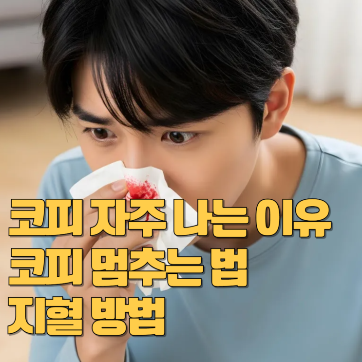 코피 자주 나는 이유 코피 멈추는 법 지혈 방법 : 네이버 블로그