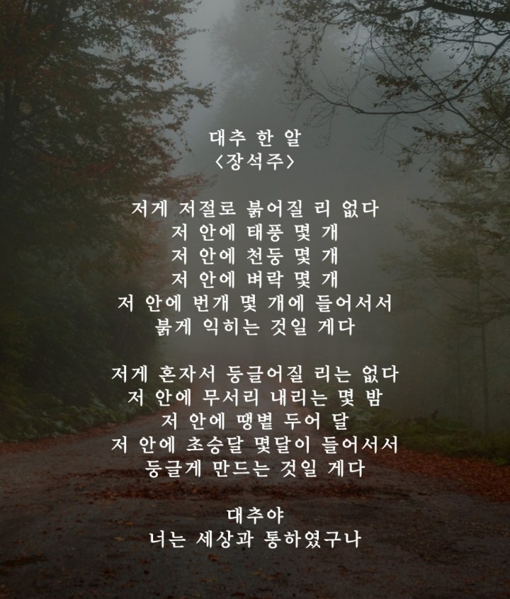 장석주 '대추 한 알' : 네이버 블로그