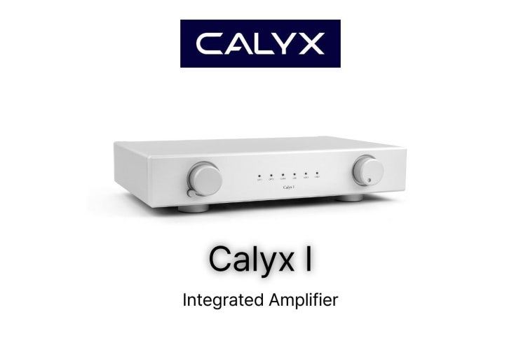D 클래스의 편견을 깨는 자연스러운 소리 Calyx I Integrated Amplifier : 네이버 블로그