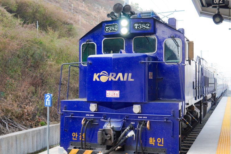 국내 혼자 기차여행 S-train 특실 남도 해양 관광 열차 추천 후기 : 네이버 블로그