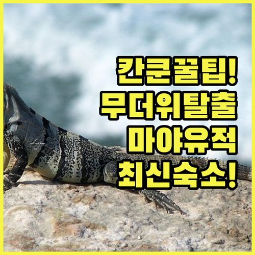 칸쿤 호텔존 마야 박물관 무더위 피하는 관람 순서와 쾌적한 신축 ....