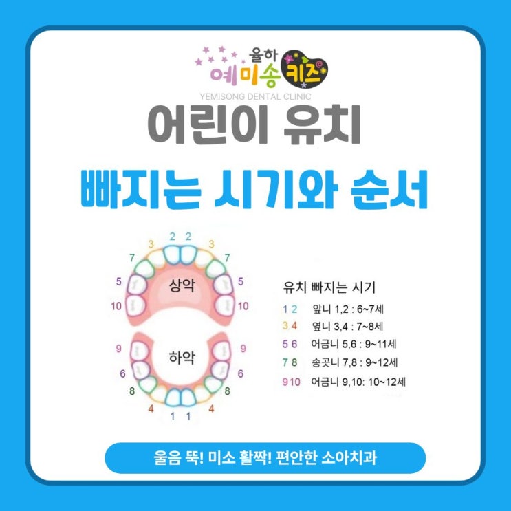 어린이 유치 빠지는 시기와 순서 : 네이버 블로그