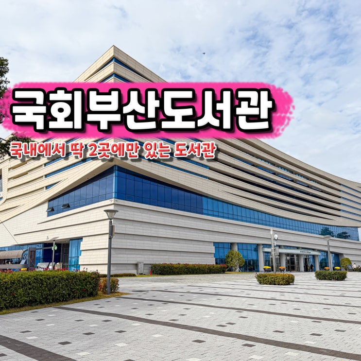부산 강서구 가볼만한곳 국회 부산도서관 실내 놀거리