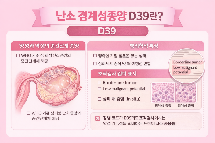 난소 경계성종양 D39 일반암 보험금 가능할까? 소액 안내 뒤집은 실제 기준 : 네이버 블로그