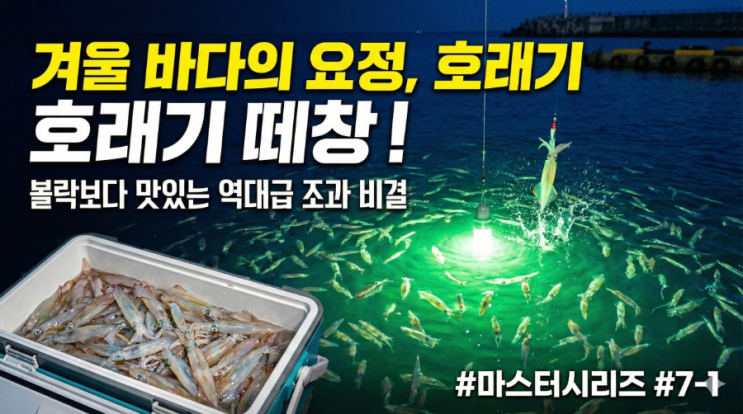 겨울 바다의 슈퍼스타, 호래기 낚시의 모든 것 생태부터 시즌까지 완벽 분석 : 네이버 블로그