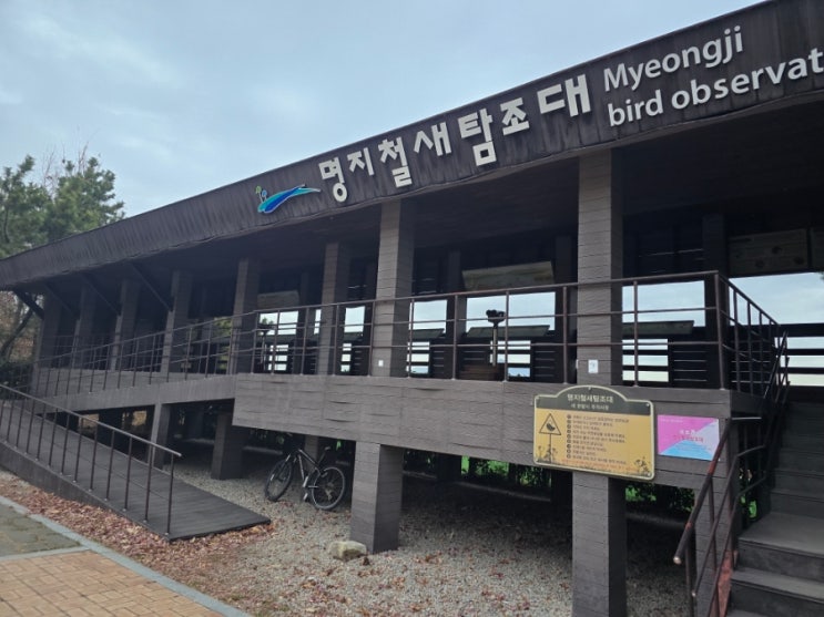 부산 겨울 철새 구경, 오션시티 갈맷길 걷기 명지 철새탐조대 주차