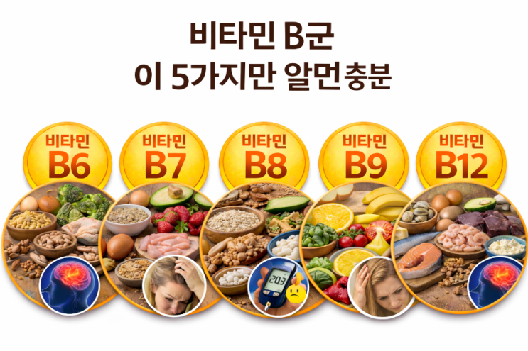 비타민 B군 정리 B6~B14 중, 정말 중요한 5가지만(2부) : 네이버 블로그
