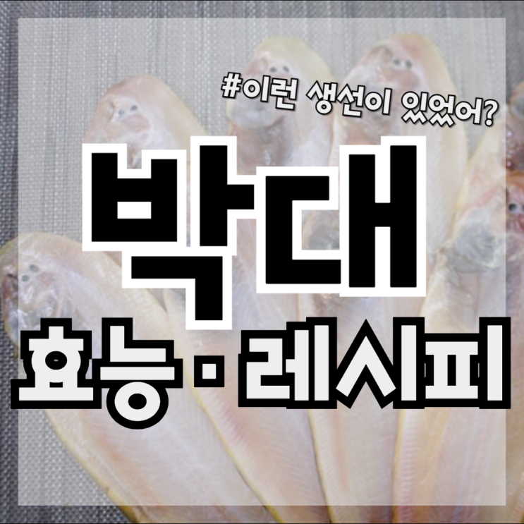 박대 생선 뜻, 겨울철 뼈 건강의 숨은 보약, 박대 효능 건강효과, 박대 요리 추천 레시피, 박대 서대 차이점 : 네이버 블로그