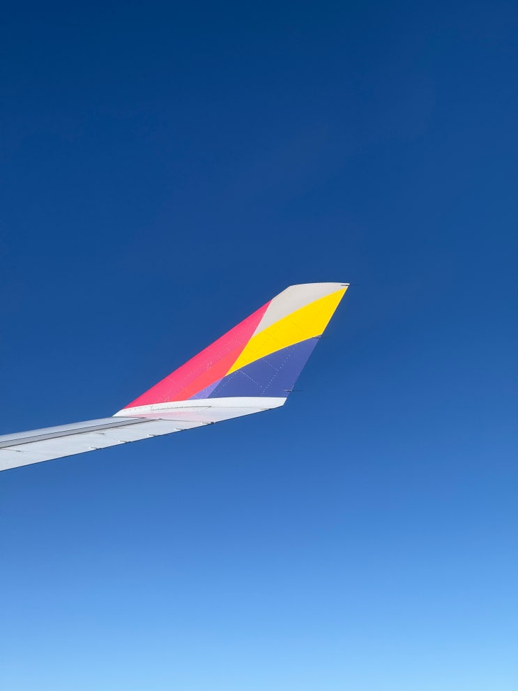 [비행후기] 아시아나항공/이코노미/OZ701·OZ704/ICN-MNL·MNL-ICN/A330·B777/20251108 ― 마닐라 ...