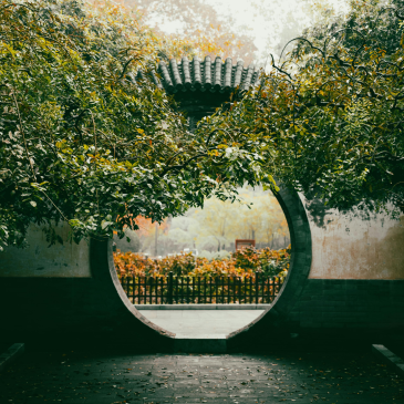 [약국세무] 약국이 '독'을 떠안는 구조적 모순... "착한 폐기"를 위한 세제·제도 혁신