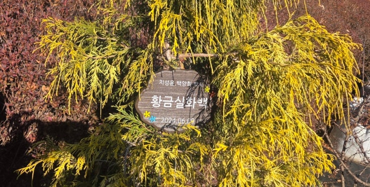 가끔에서 마지막 주말을 보내며 : 네이버 블로그