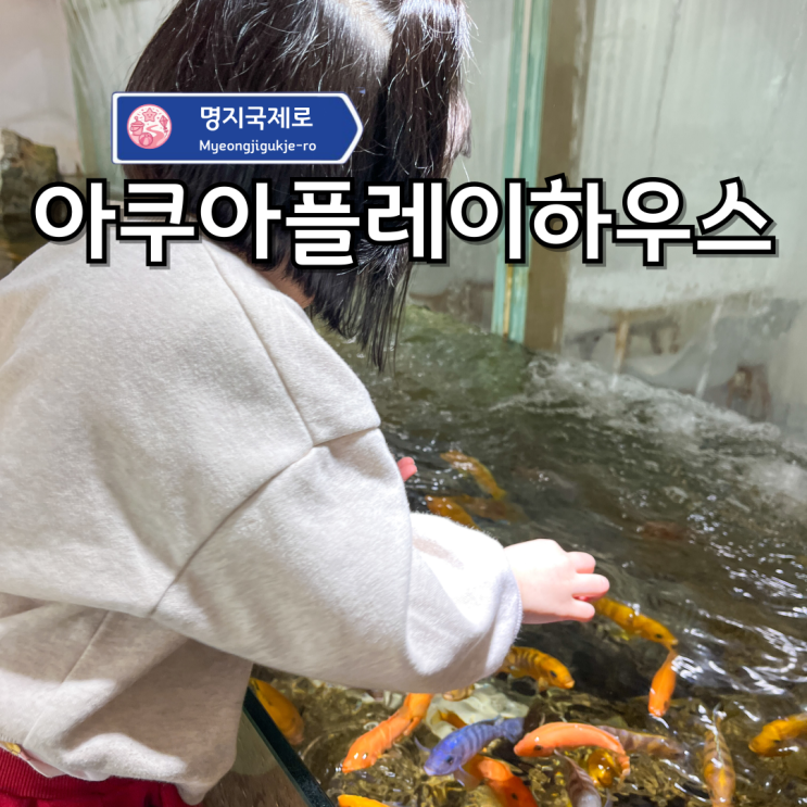 부산 수족관 키즈카페 명지아쿠아플레이하우스 모임 후기!