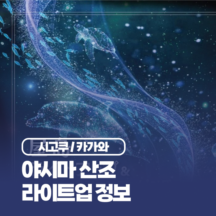 다카마츠 카가와 가볼만한곳 | 야시마 산조 라이트업 프로젝션 매핑....