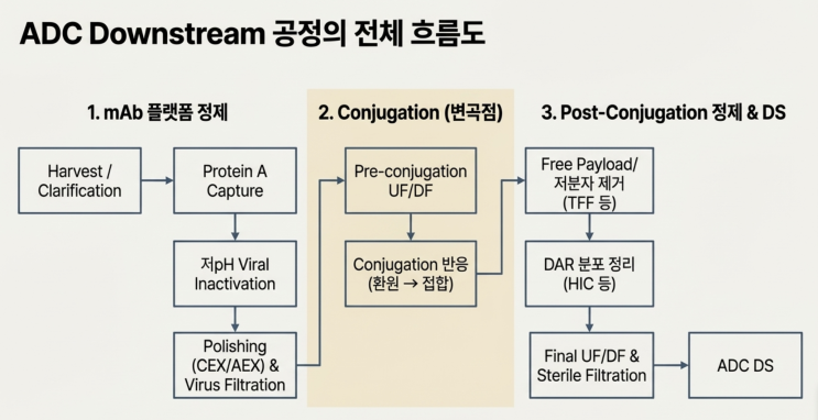 ADC 제조 공정 이해: Harvest부터 DS(Drug Substance)까지 : 네이버 블로그