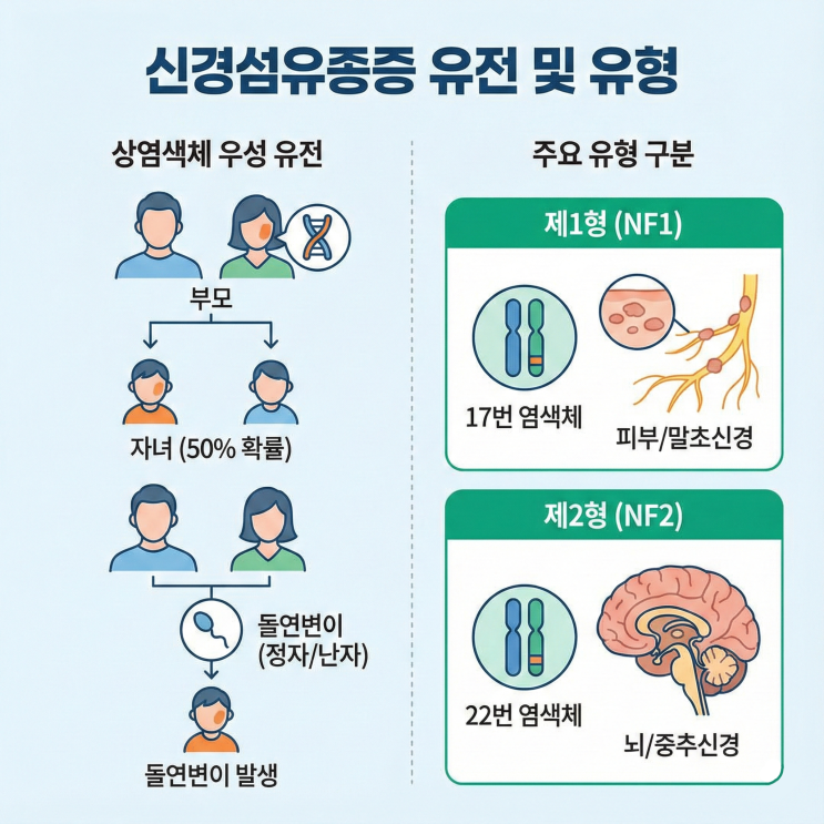 신경섬유종 원인 및 증상 그리고 치료 방법 : 네이버 블로그