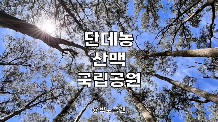 호주 멜버른 단데농 산맥 국립공원 트레킹 여행 Dandenong Ranges National ....