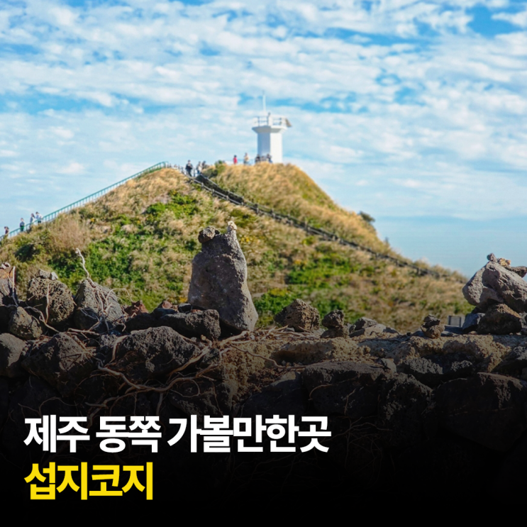 제주도 섭지코지 산책 제주 동쪽 가볼만한곳